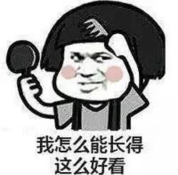 表情包长图片胸像