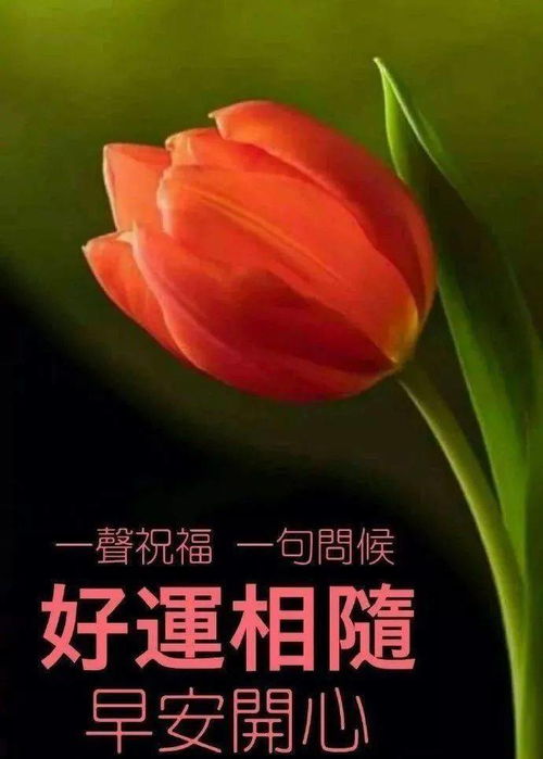 阳春早上好微信祝福表情图片微信短信问候祝福语