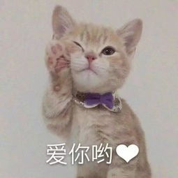 如何哄女朋友是有套路的