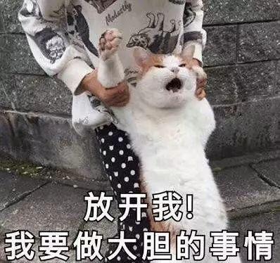 2020年的浪潮,守望先锋还行吗,为什么守望先锋总在凉的路上