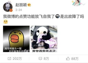 小黄鸭表情包全套小图周冬雨