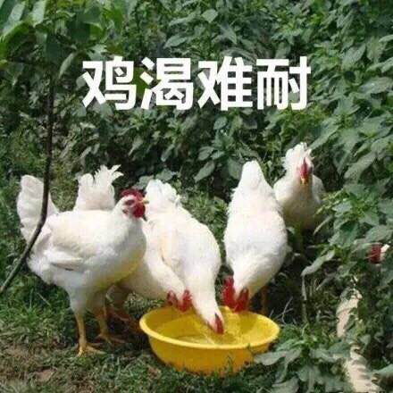 有趣的灵魂三千一宿
