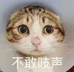 你喝大了干过哪些蠢事