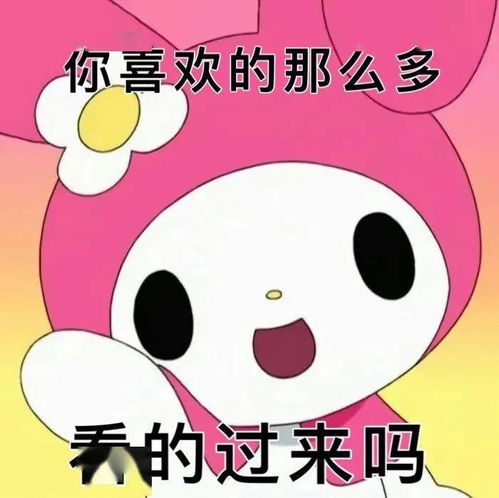 孙一宁王思聪聊天表情包
