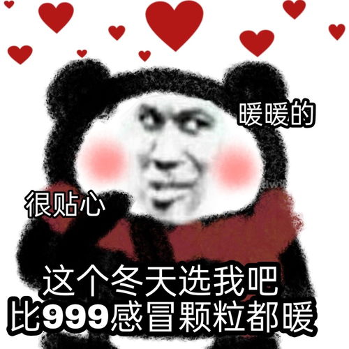 选我选我表情表情包