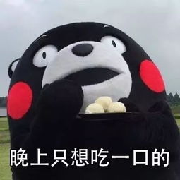 你还在等什么表情包图肥胖