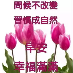 最新早上好表情图片问候