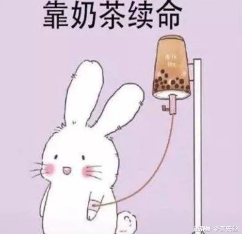 cp发糖表情包云子