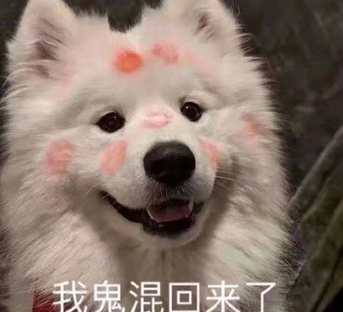 最新可爱表情包心动的感觉,我还是个孩子