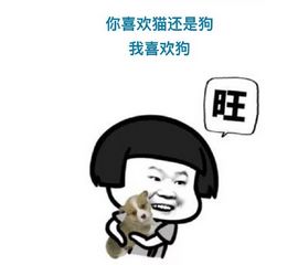 直男癌患者情话套路表情包直男癌患者情话套路表情图片高清无水印极光下载站
