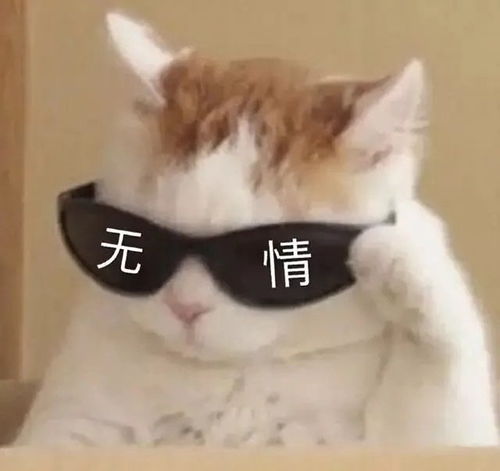 热门表情包拿图片哥哥,别怪我心狠手辣
