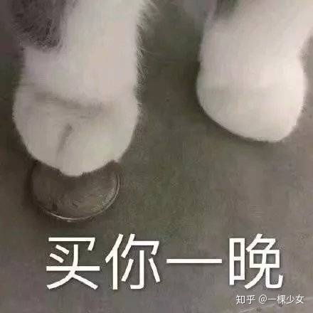 你们撩对象都用什么表情包啊