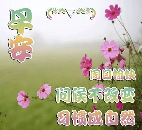 初春最美早安祝福图片带字早安问候图片带字