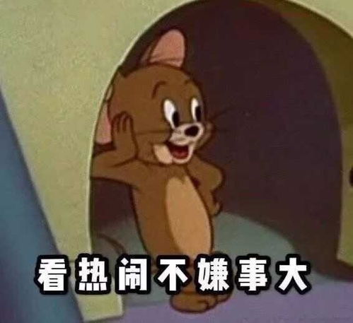 要看的