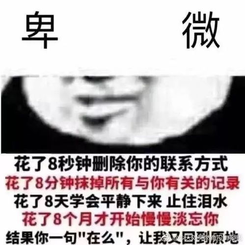 小会夜谈答应我,只做自己的舔狗好吗