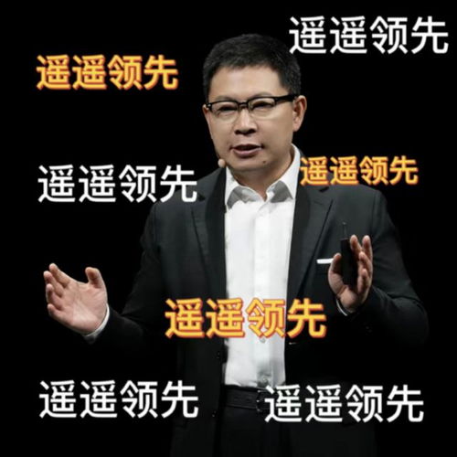 钟奇说耶的表情包贾才