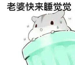 有人知道这个仓鼠叫啥吗求表情包更新