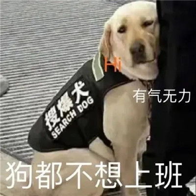 最经典暴走表情包合集
