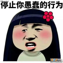停止你愚蠢的行为表情包想想前途在凉半截表情包下载乐游网游戏下载