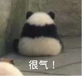 充电桩解决新能源汽车历程焦虑的关键因素,2020充电设备发展的关键一年