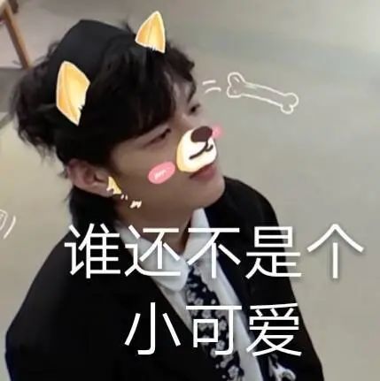 表情包名学沙雕系列