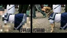 海盗表情包炮弹