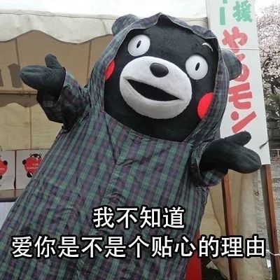 表情包嘿,我的小可爱