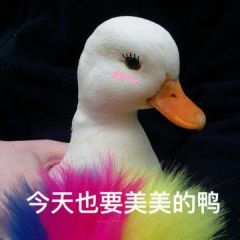 金鹰节开幕式晚会节目单曝光你的爱豆们已在现场彩排