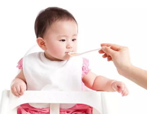 宝宝固体辅食喂养攻略
