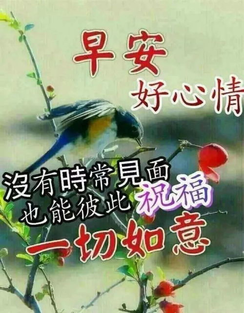 微信表情包 祝福语早安