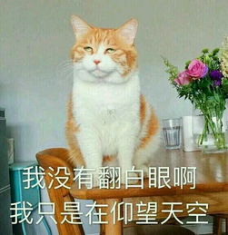 揭棺而起全套表情包别问我