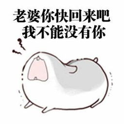 情侣聊天最实用小仓鼠表情包