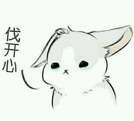 桃心胸比心表情包兔子
