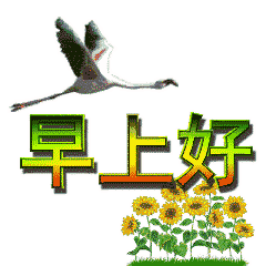 2019最新早安祝福短句,早上好最美的动态表情图片