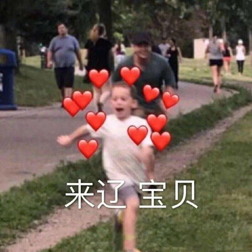 校运新世代,谁是你的菜