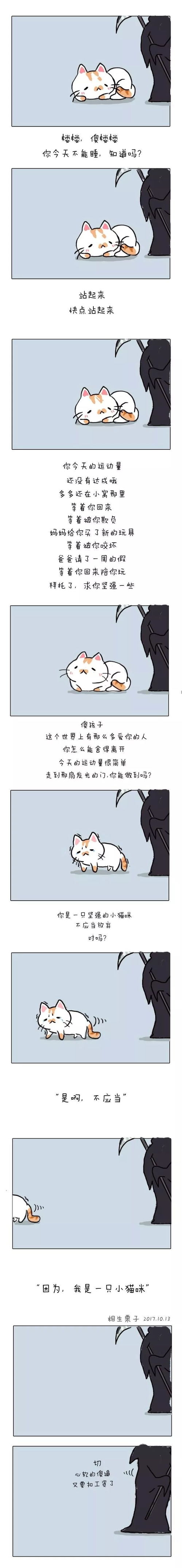 我的表情包去世了,楼楼再见搜狐美食搜狐网