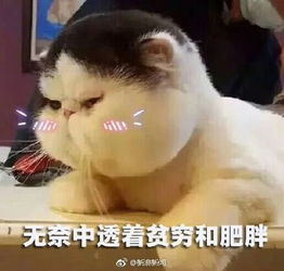 微信公众号的编辑,真不是复制粘贴那么容易