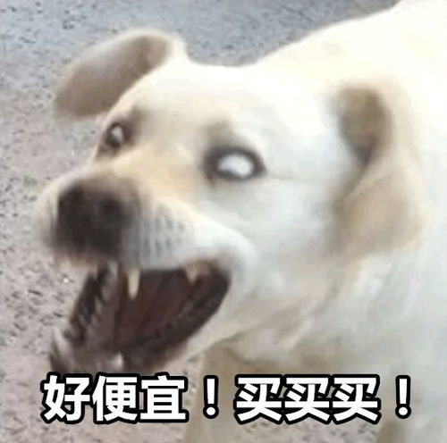 这些表情包,像不像双十一前后的你