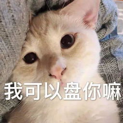 表情包丨盘它,到底是什么梗啊