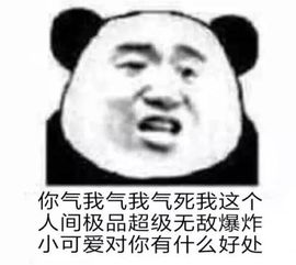 今日表情包朕,不允许你聊天输给别人