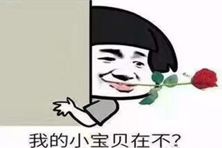 岂不美哉表情包形状