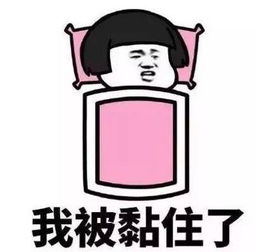 叫猪起床了表情包表情包