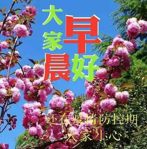 轻轻地问候,深深地祝福