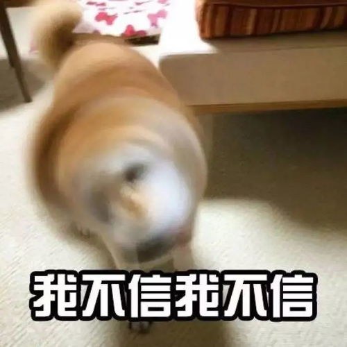 吃了就等于喝油的5道日常菜,90斤的瘦子从来不吃