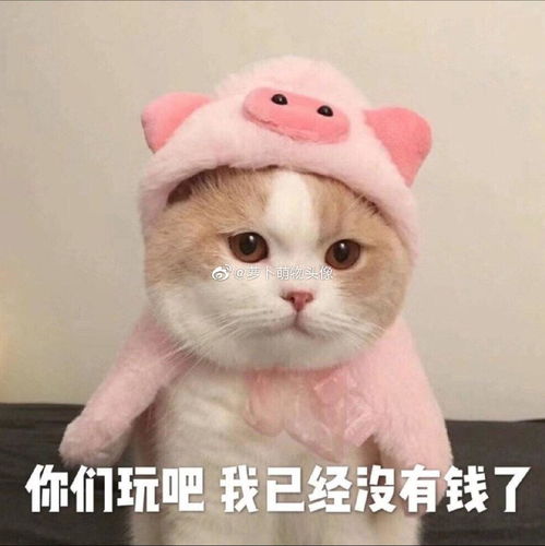为了表情包收藏的回答