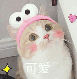 杨浦校园微分享精品课程陆续上线,走一波
