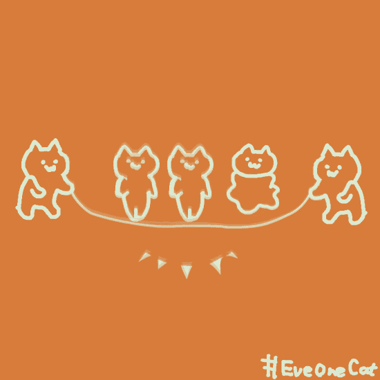 特别神经又魔性爆红全网的猫,每张图都是表情包