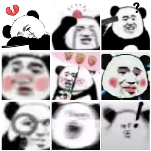 各种各样的表情包宝宝