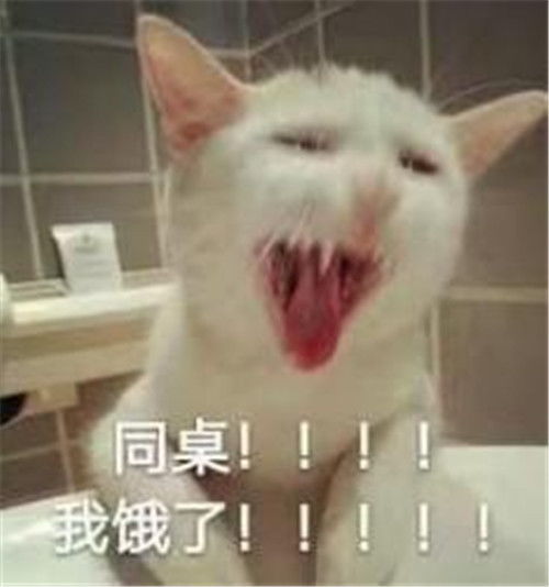 晚上睡觉的时候闹出的那些笑话,第一个心凉了