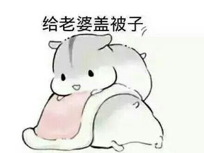 盖被子表情包老公